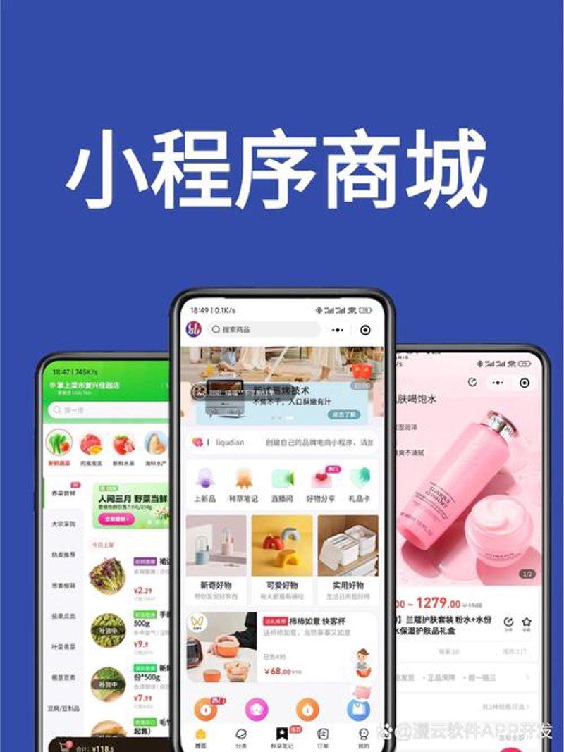 小程序开发：打造指尖上的高效体验